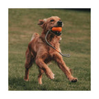 Beco Bola para Lanzar Goma Natural