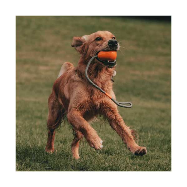 Beco Bola para Lanzar Goma Natural