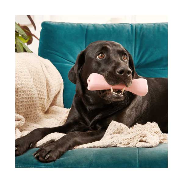 Beco Treat Bone Goma Natural