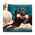 Beco Treat Bone Goma Natural