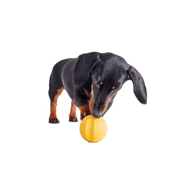 Beco Pelota Fetch Goma Natural - Naranjo