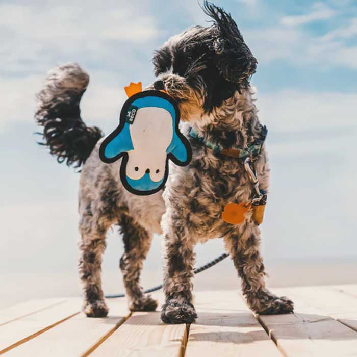 Peluche Beco Reciclado "Rough and Tough" Pingüino