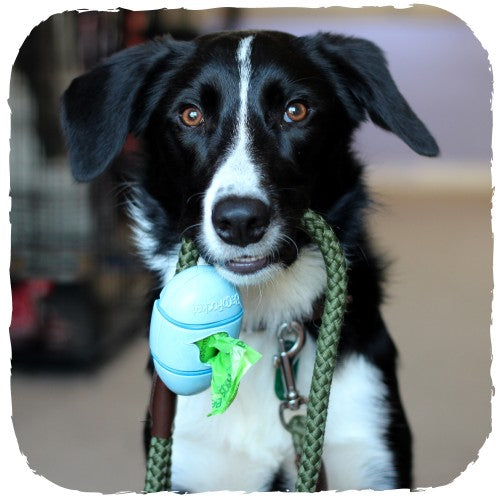 Dispensador "Beco Pocket" de Bamboo  - Natural