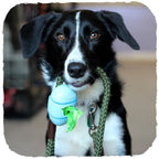 Dispensador "Beco Pocket" de Bamboo 