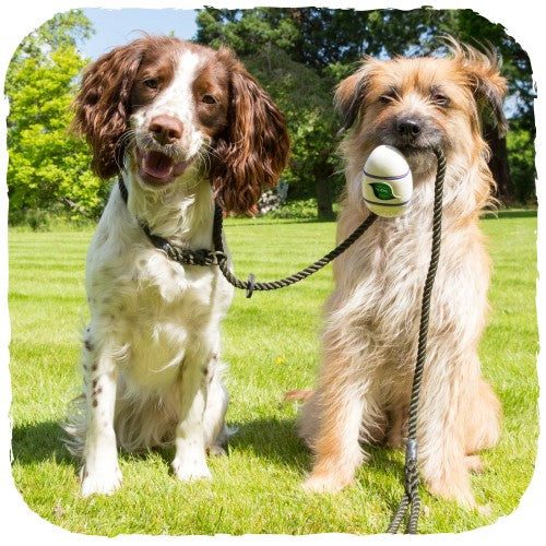 Dispensador "Beco Pocket" de Bamboo 