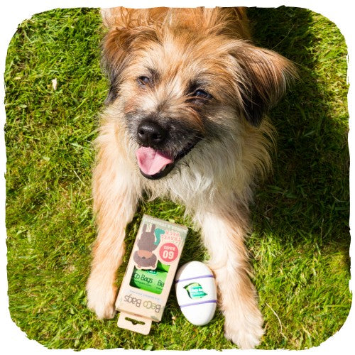 Dispensador "Beco Pocket" de Bamboo 