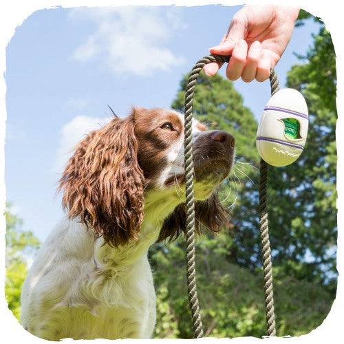 Dispensador "Beco Pocket" de Bamboo 