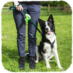 Dispensador "Beco Pocket" de Bamboo 