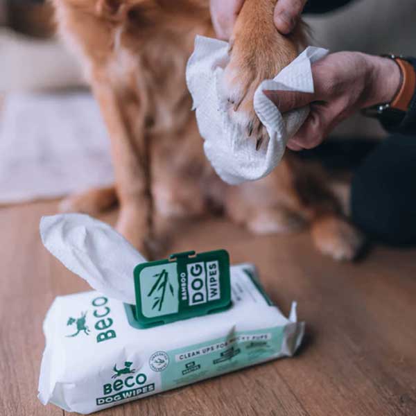 Toallitas húmedas Compostables Beco - Escencia Coco