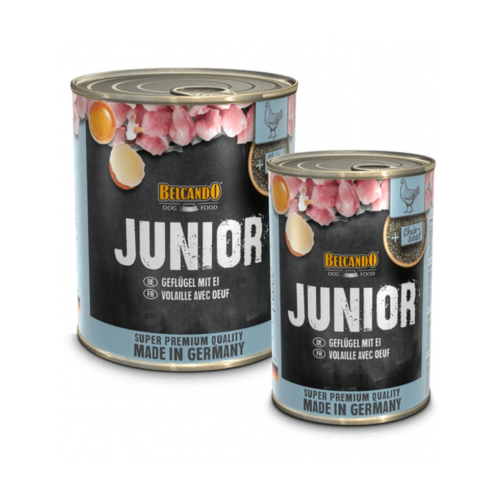 Lata Cachorro Pollo y Huevo Belcando con receta junior, pollo, huevo y semillas de chía para perros cachorros.