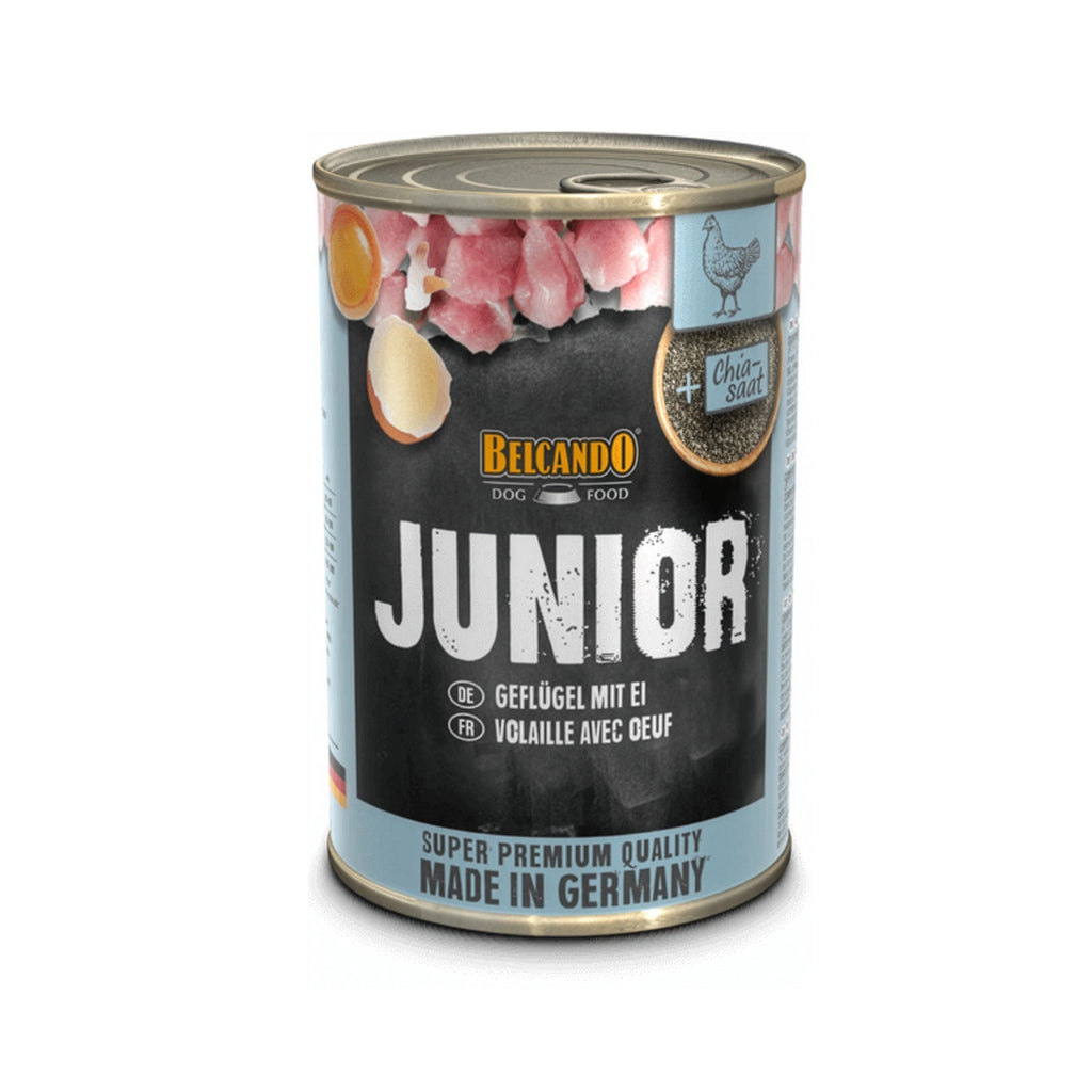 Lata Cachorro Pollo y Huevo Belcando con receta junior, pollo, huevo y semillas de chía para perros cachorros.