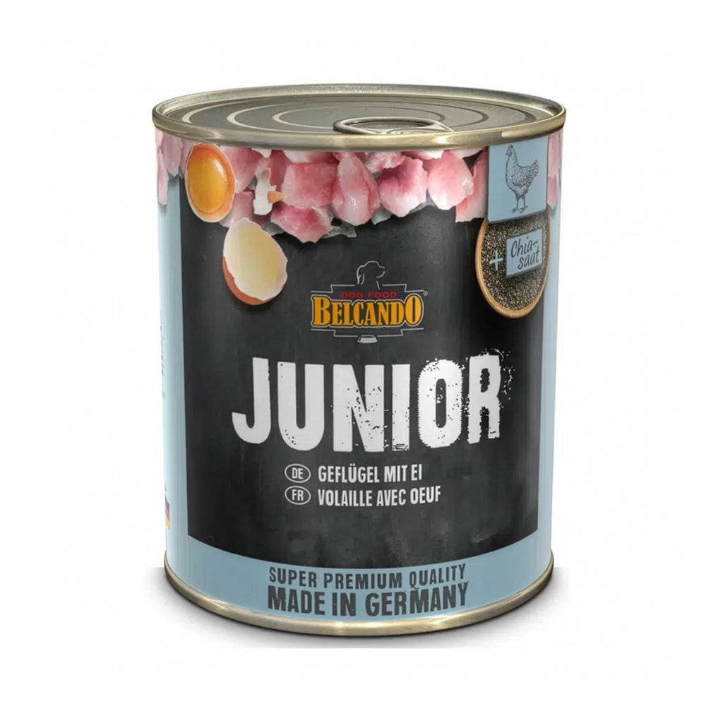 Lata Cachorro Pollo y Huevo Belcando con receta junior, pollo, huevo y semillas de chía para perros cachorros.