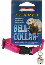 Collar con Cascabel para Hurón