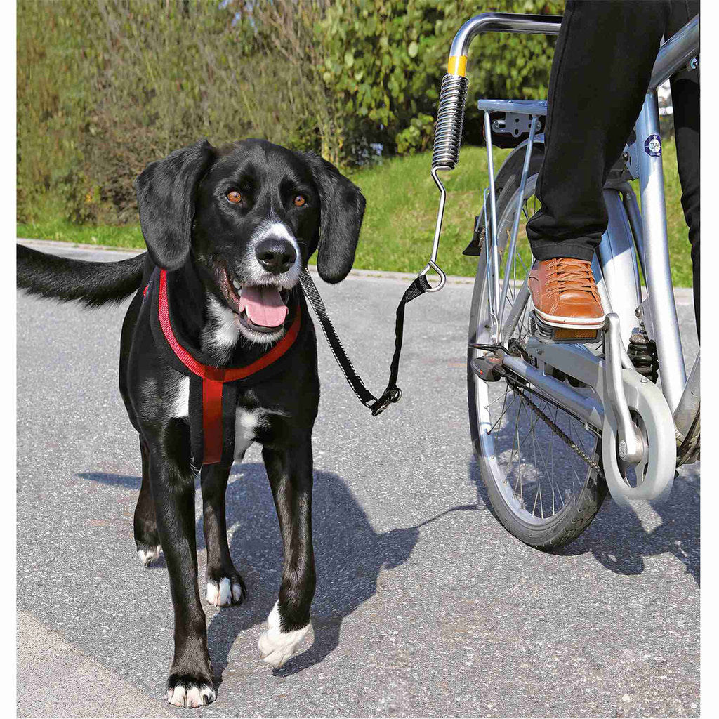 Set de Bicicleta para Perros