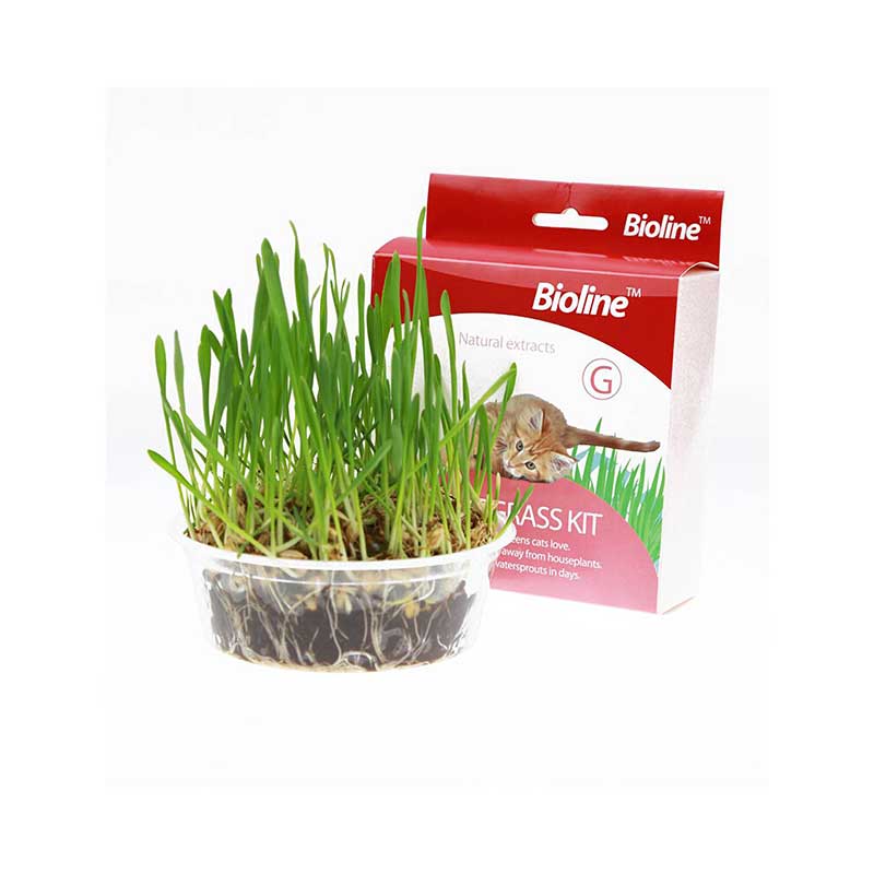 Bioline Kit Pasto para Gatos