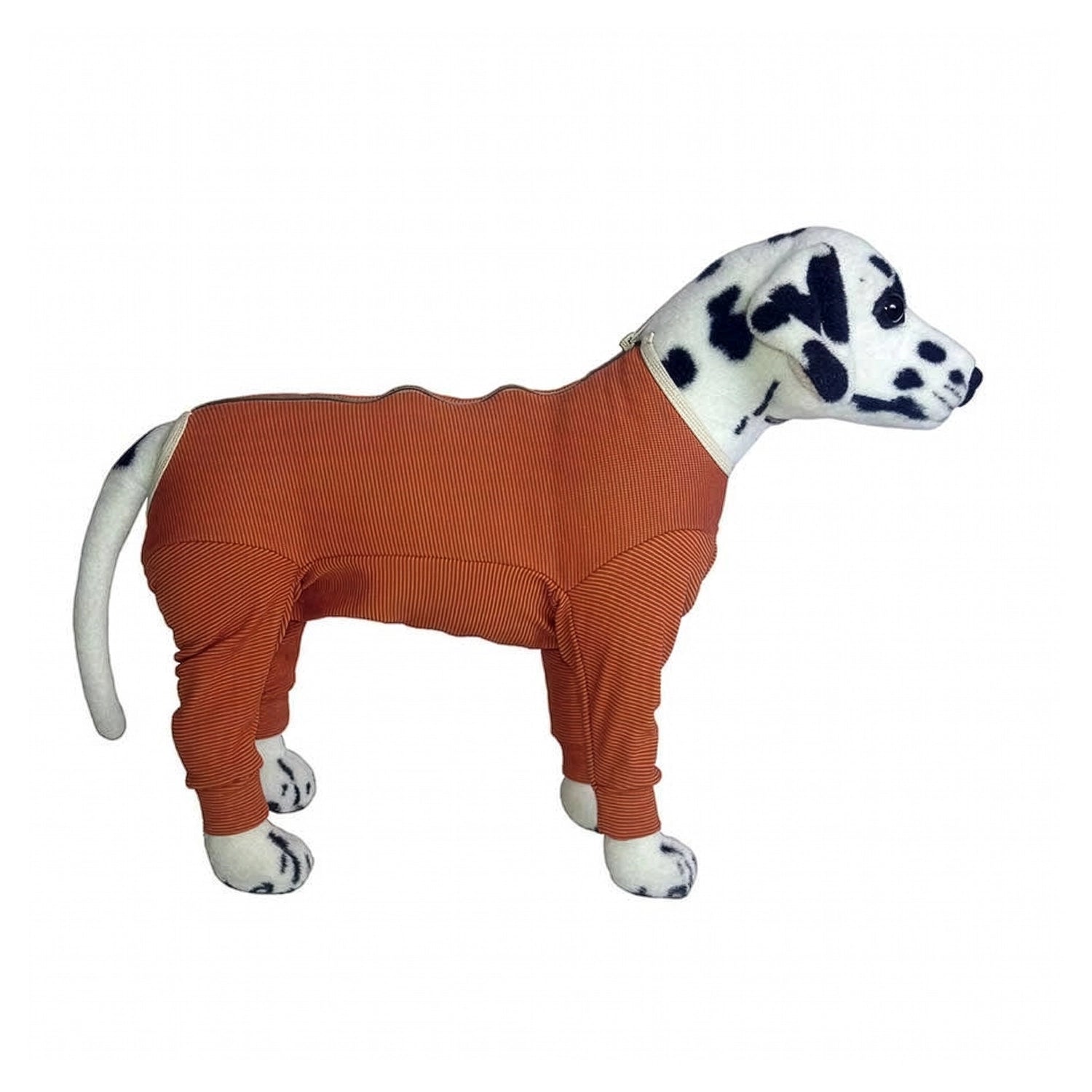 Perro modelo con Body Completo de Cobre de manga larga y cobertura total en tela elástica color cobre.