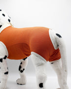 Body de Cobre Castración Perros Machos  - Chile / 0: 1,5 a 2,5 kg