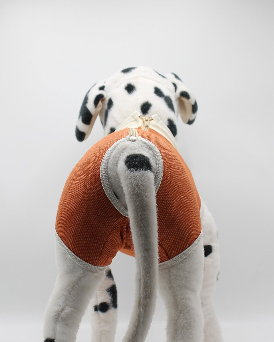 Body de Cobre Castración Perros Machos  - Chile / 1: 2,5 a 3,5 kg