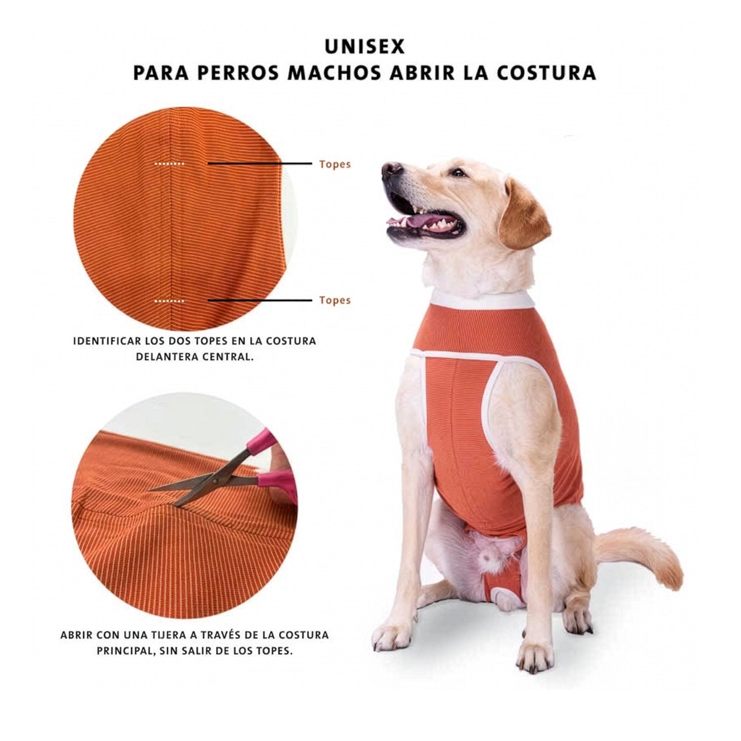 Body de Cobre Miembros Posteriores en perro color beige con prenda ajustada para protección y comodidad veterinaria.