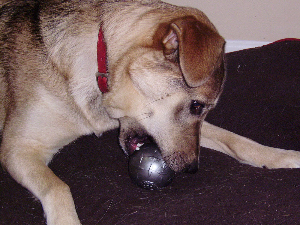 Planet Dog Pelota Diamond Plate - L / Gris