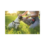 Bolso para Premios Kong Travel