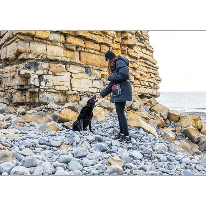 Bolso Multiproposito para Paseos Kong travel