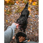 Bolso para Premios Tall Tails