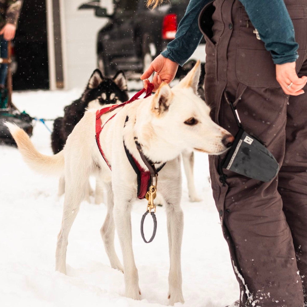 Bolso para Premios Tall Tails
