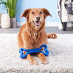 Planet Dog Hueso Tug