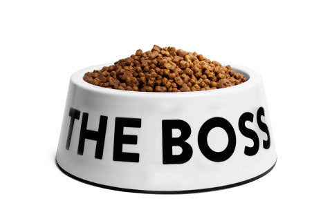 Bowl "I'm The Boss" Zee.Dog Blanco - S