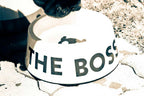 Bowl "I'm The Boss" Zee.Dog Blanco