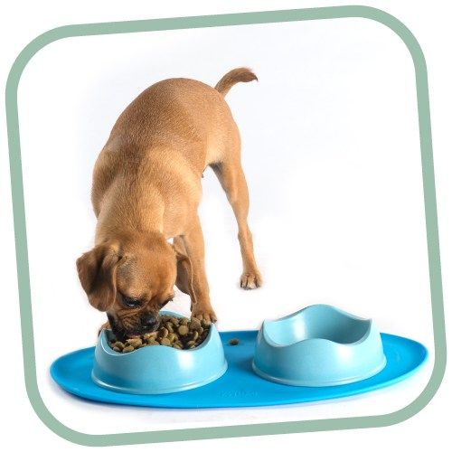 Plato de Bambú y Arroz Beco Pets - Natural / Small