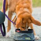 Bowl de Comida para Viaje "Drive" EzyDog