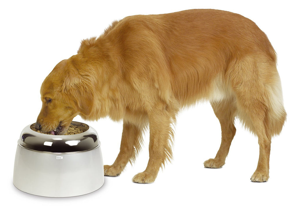 Plato Elevado Dog it - L: H 17 cm - 900 ml