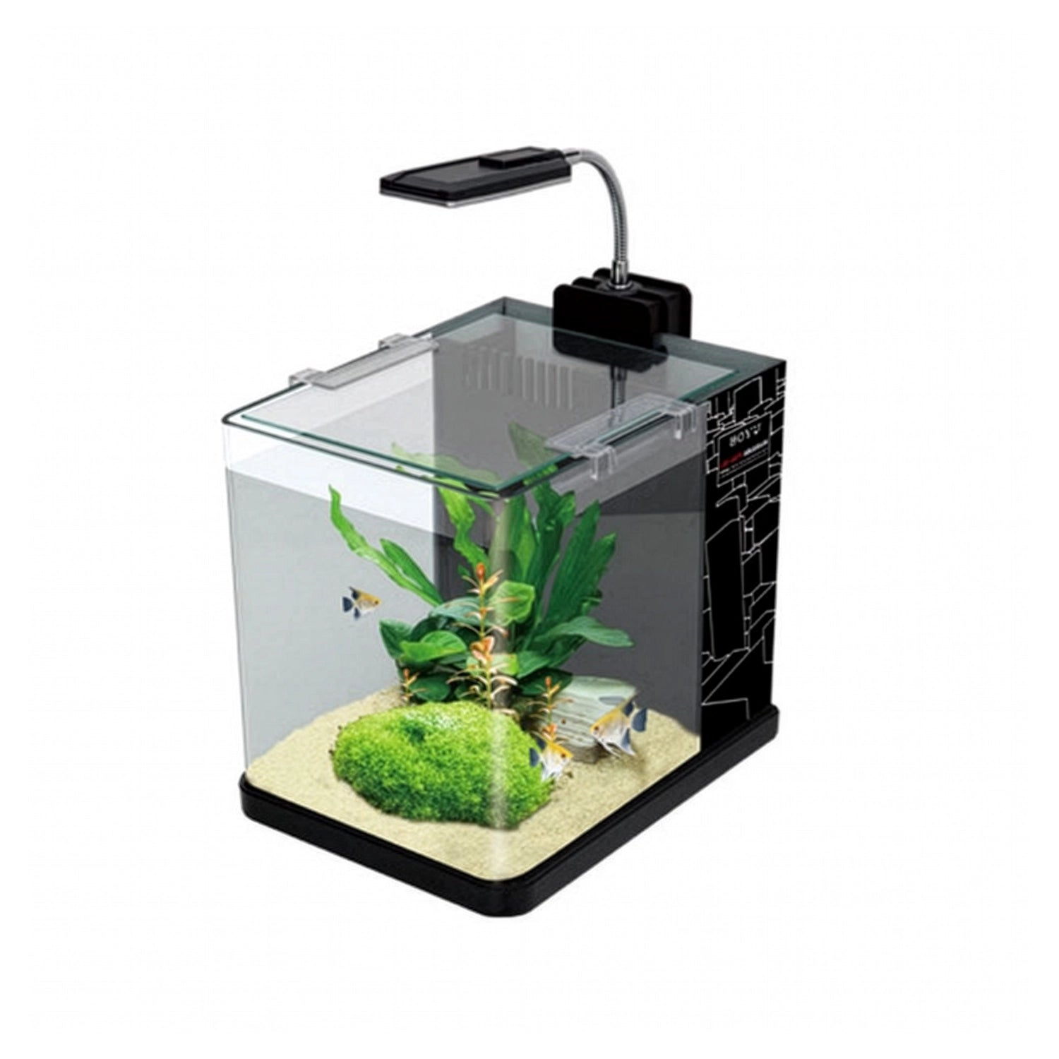Boyu Mini Acuario Sistema Filtración y LED con pecera de vidrio, filtro integrado, iluminación LED, plantas decorativas y peces.