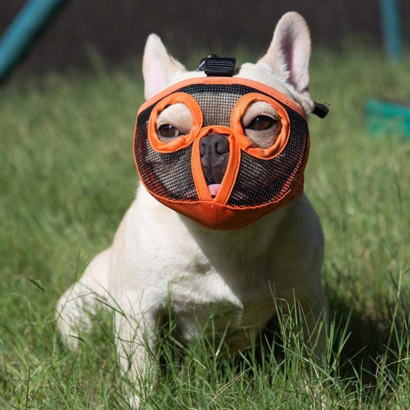 Bozal para Perros Braquicéfalos - 14 - 21 Kg