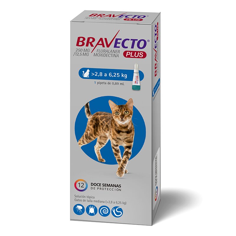 Antiparasitario Pipeta BRAVECTO PLUS para Gatos
