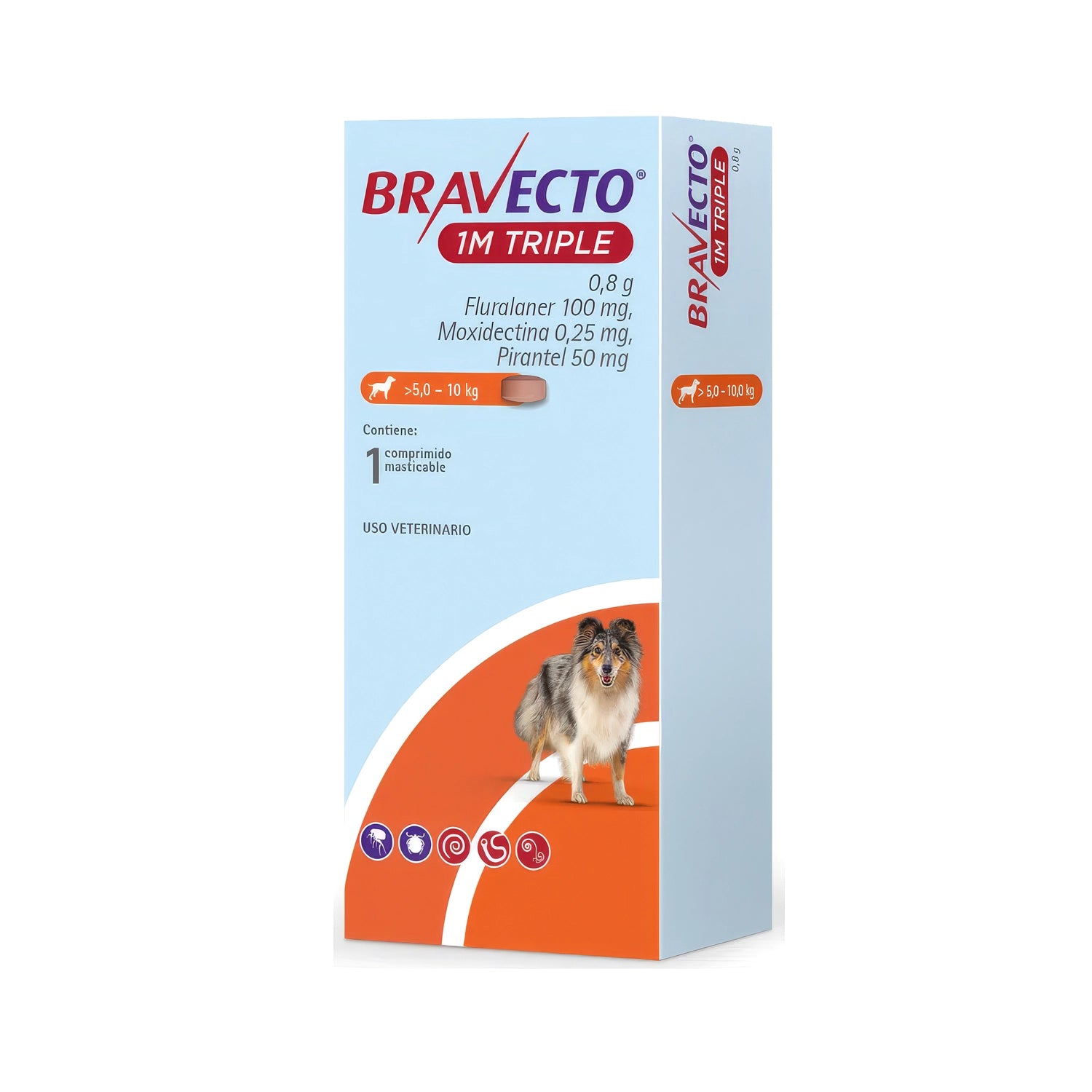 Bravecto 1M Triple en caja para perros de 5 a 10 kg, con comprimido masticable e imagen de perro en el envase.