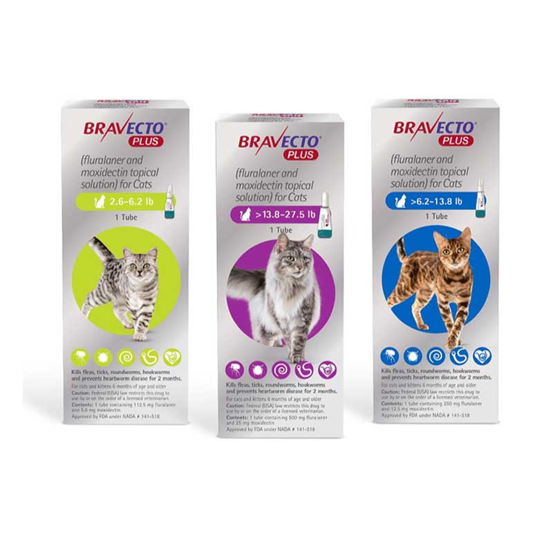 Antiparasitario Pipeta BRAVECTO PLUS para Gatos - 2,8 a 6,25 kilos (250 mg)
