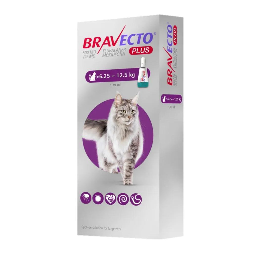 Antiparasitario Pipeta BRAVECTO PLUS para Gatos