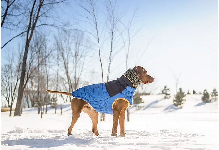 Bufanda Tubo Scout Navy