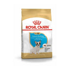 Royal Canin Bulldog Francés Puppy - 3 kilos