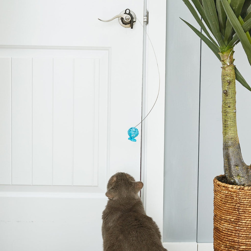 Caña de pescar con juguete "Cuz" para Puerta 