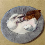 Cama Donut "Dream Chaser" Tall Tails