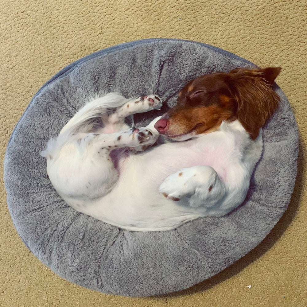 Cama Donut "Dream Chaser" Tall Tails