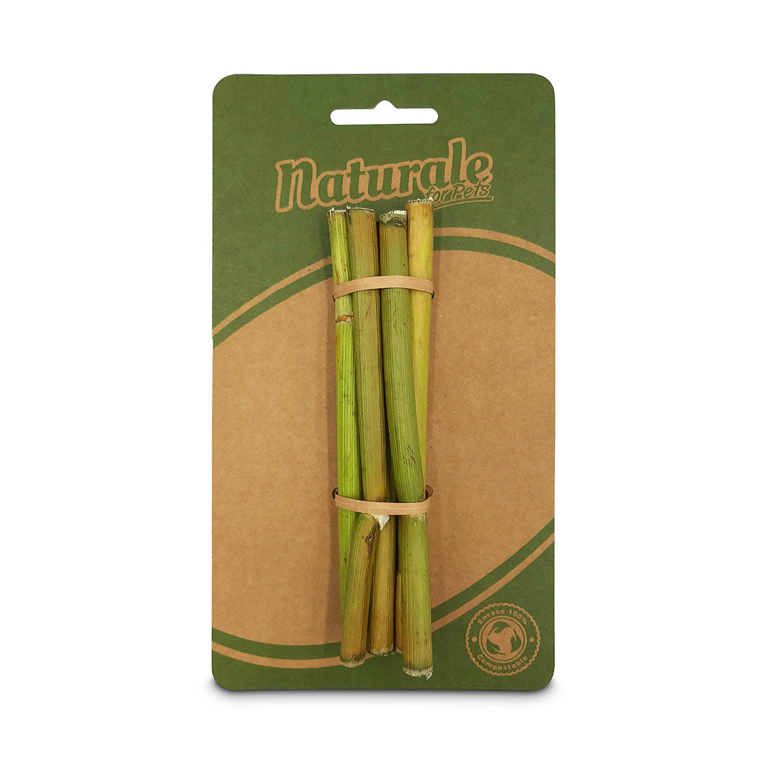 Palitos de Hinojo Naturale