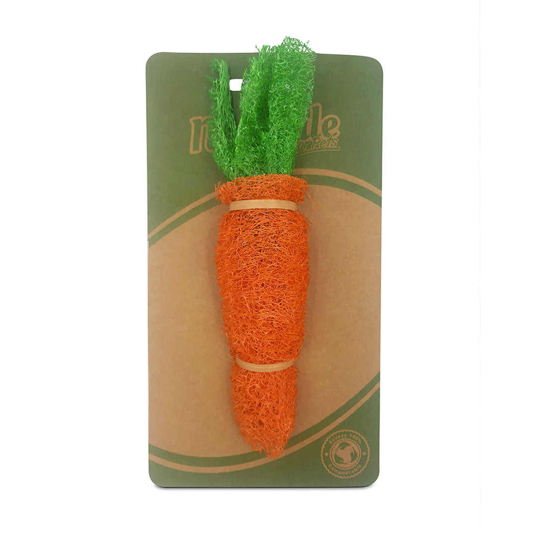 Zanahoria Luffa Naturale