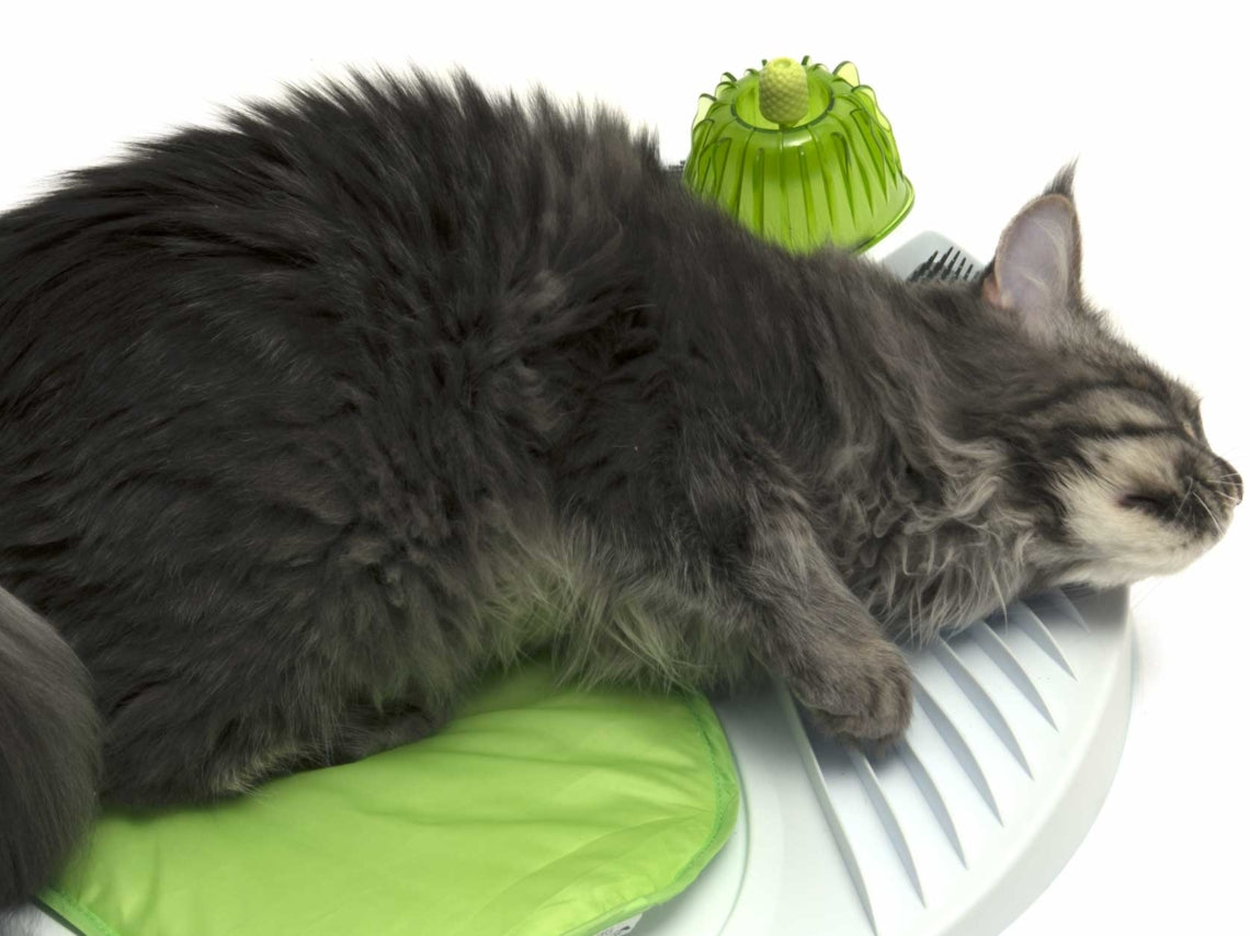 Catit Senses 2.0 Wellness Center