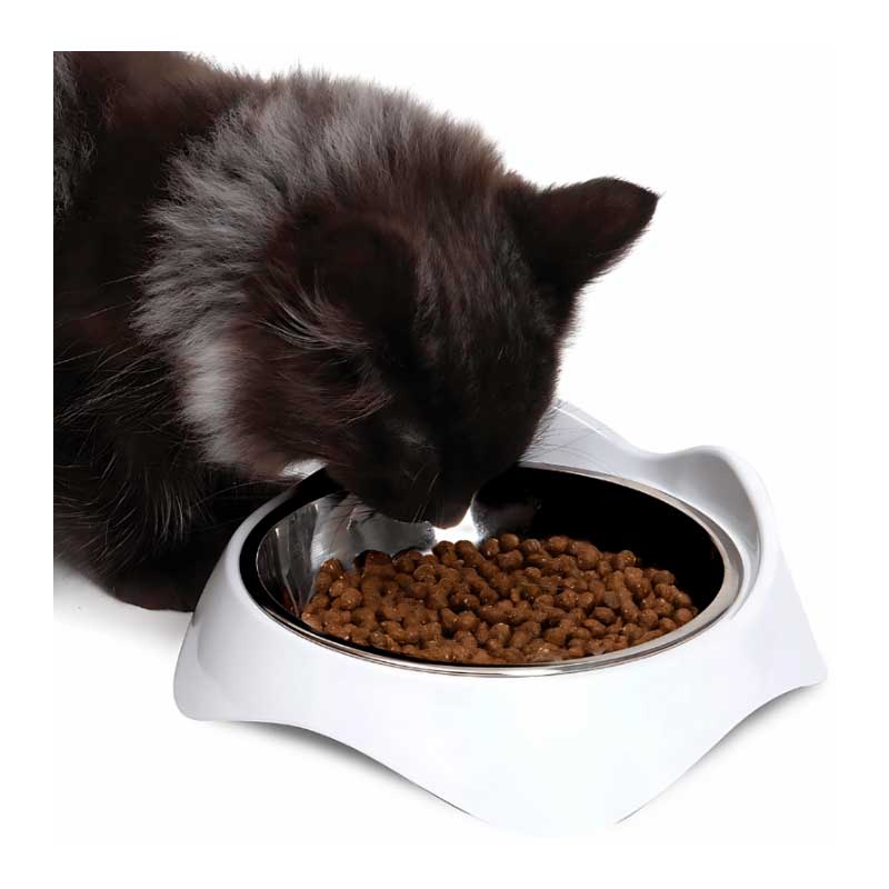 Catit PIXI Plato Borde Bajo para Gatos 200 ml