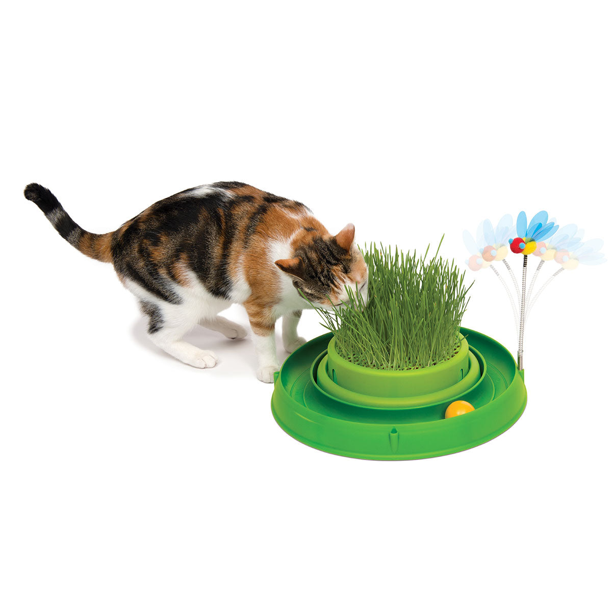 Circuito "Play" Pelota con Pasto para Gatos